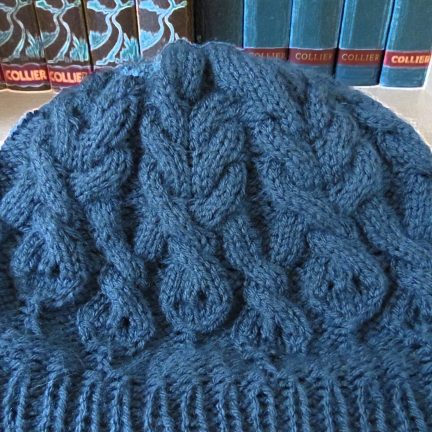 Cabled Snakes Hat.